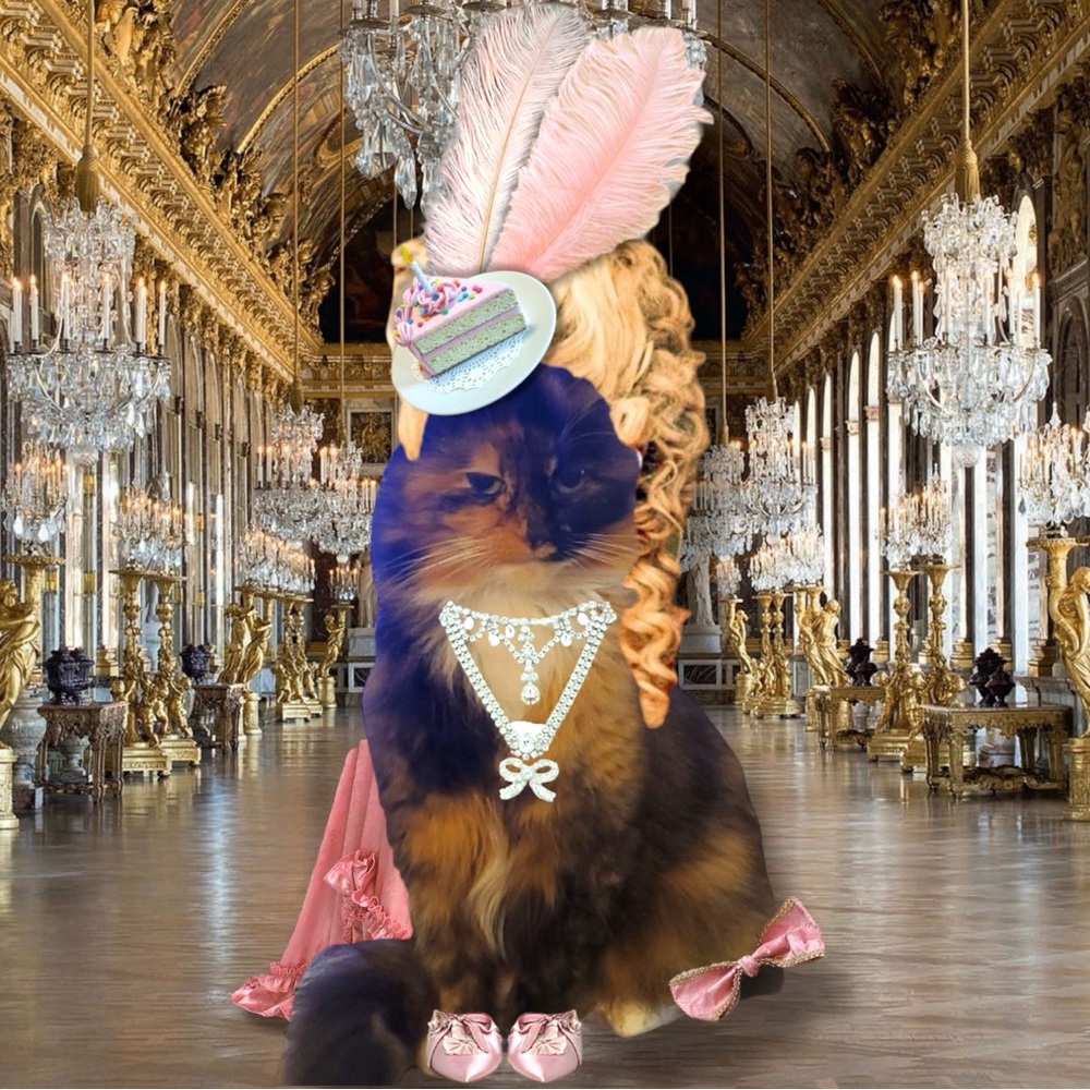 Official Shopcat Carmen